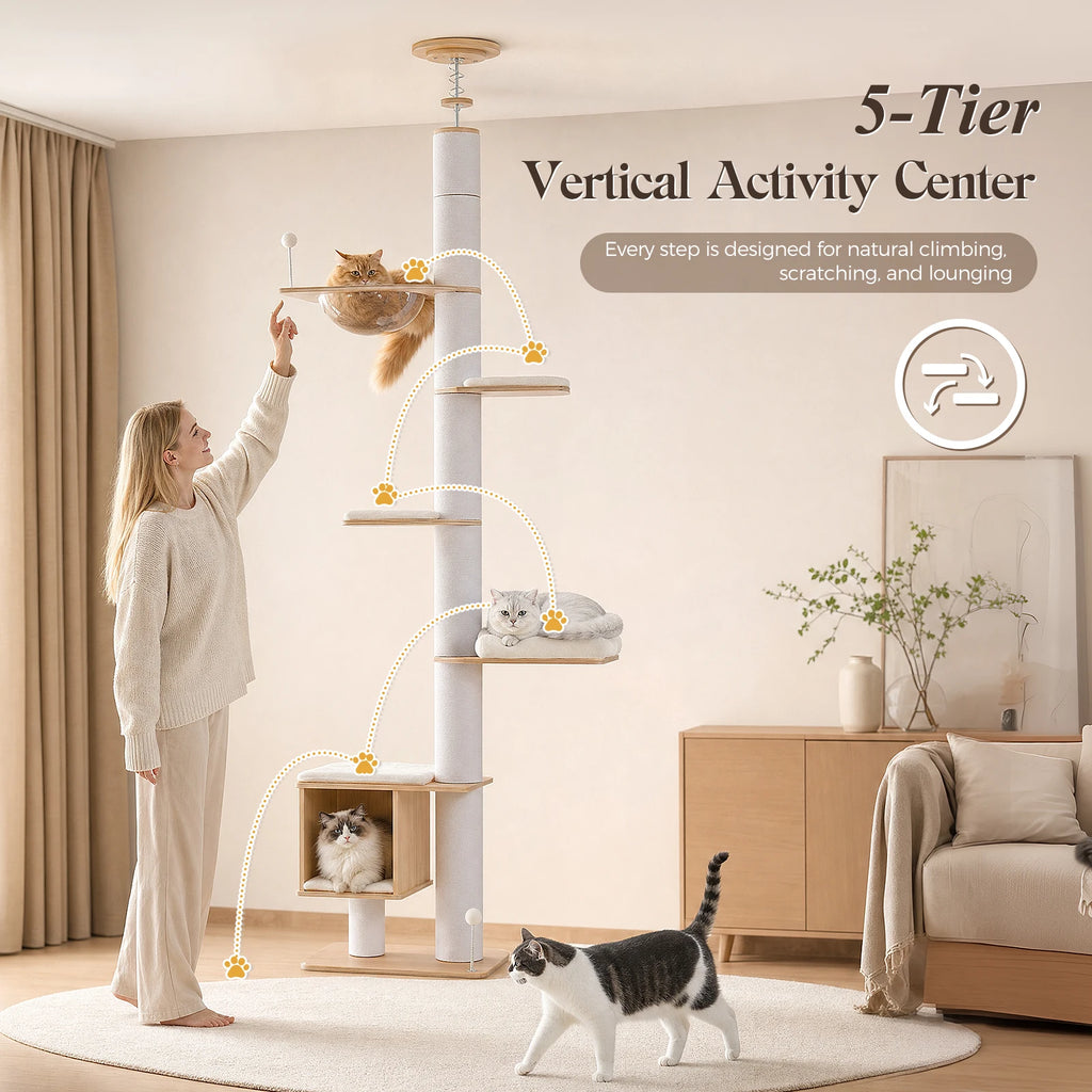 Floor-to-Ceiling Wood Cat Tree Tower with Clear Capsule & Large Condo