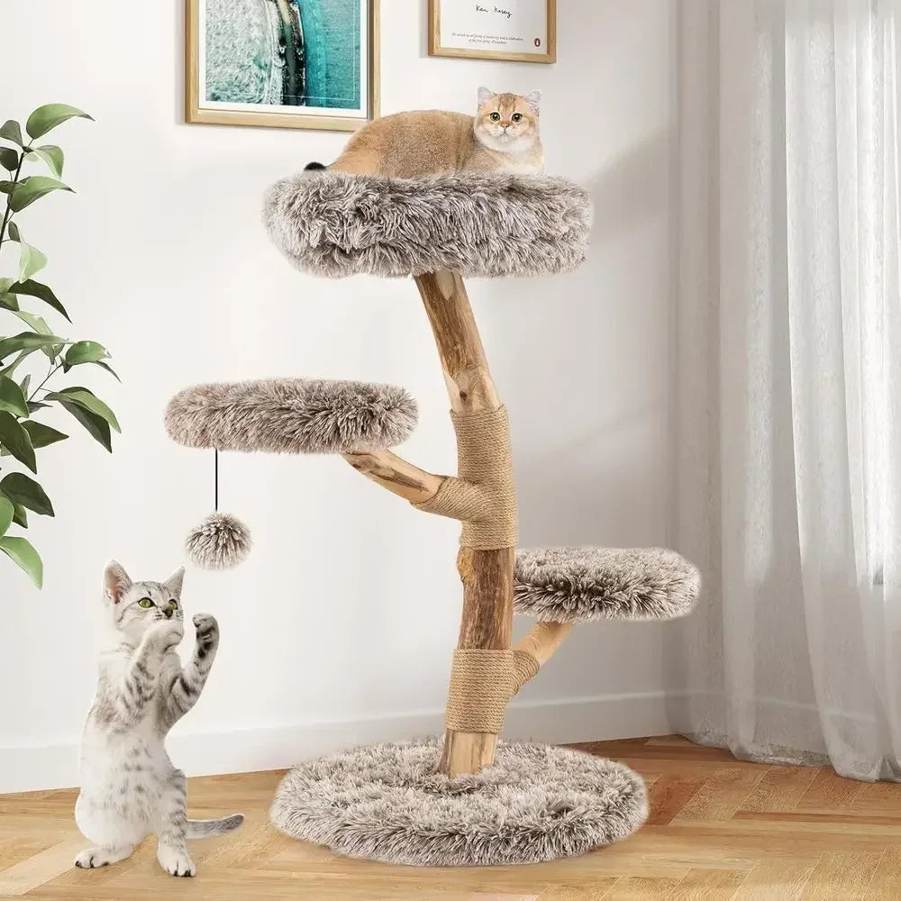 Multi-Level Wood Cat Tree Tower with Natural Branch & Plush Perch for Kittens
