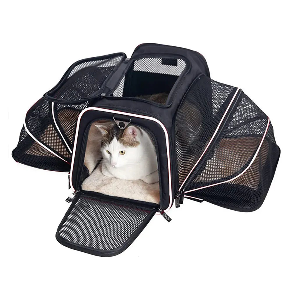 Expandable & Foldable Pet Travel Bag