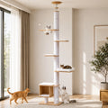 Floor-to-Ceiling Wood Cat Tree Tower with Clear Capsule & Large Condo