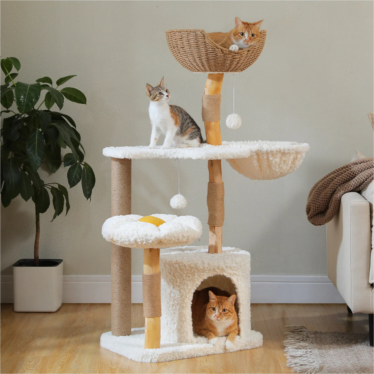 Modern Wood Cat Tree Tower with Flower Bed, Luxury Condo & Hammock