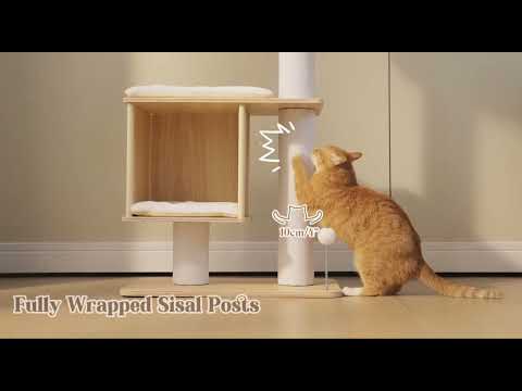 Floor-to-Ceiling Wood Cat Tree Tower with Clear Capsule & Large Condo